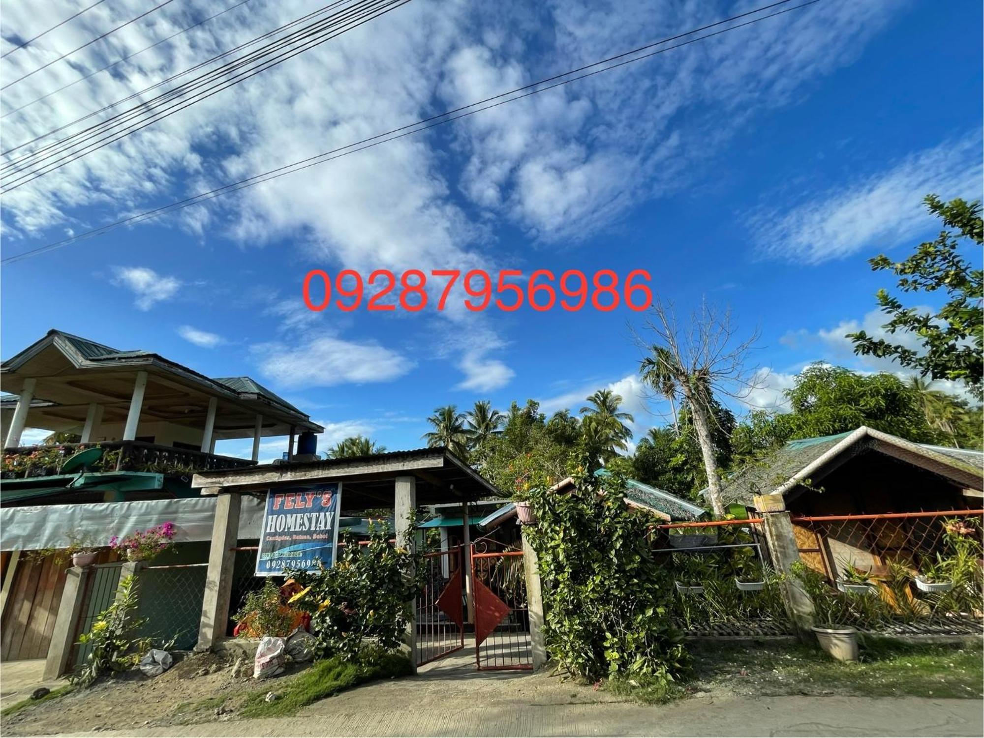 Fely'S Homestay Batuan Екстериор снимка